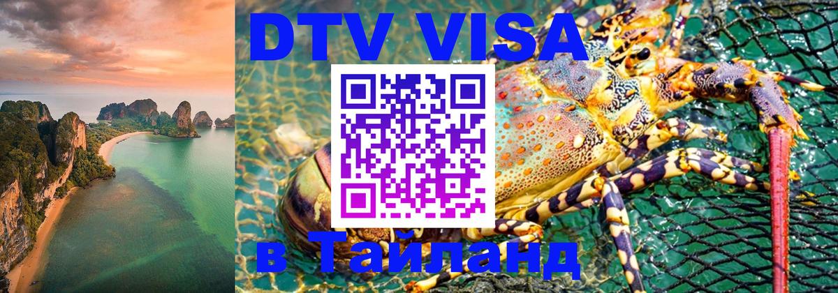 Цены на DTV визу в Таиланд — пакеты услуг, достаточно даже паспорта - Ватикан  10.01.2026 